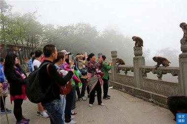 揭秘峨眉山陪爬团队：九成游客为女性