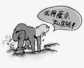 当地回应“老农保”29年后仅退200元