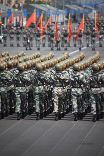 这是你没见过的阅兵训练画面